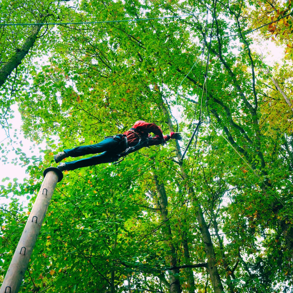 case study: wildtrails outdoor rec