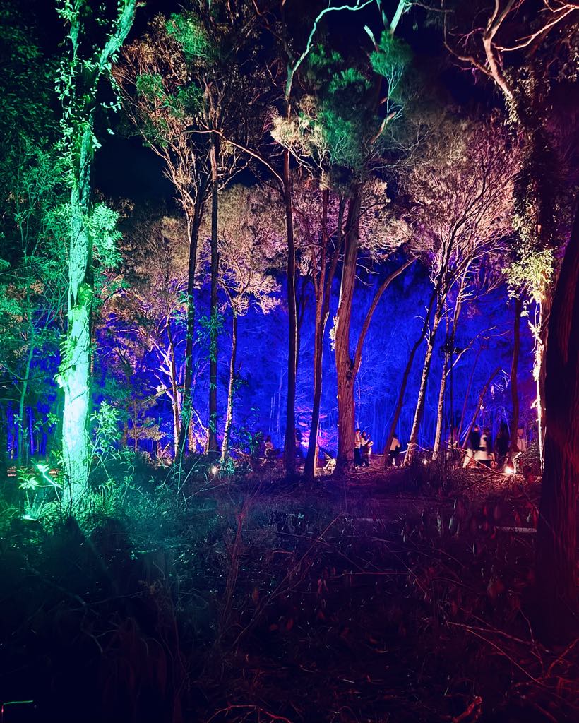 Harry Potter Forbidden Forest Experience the forest at night 