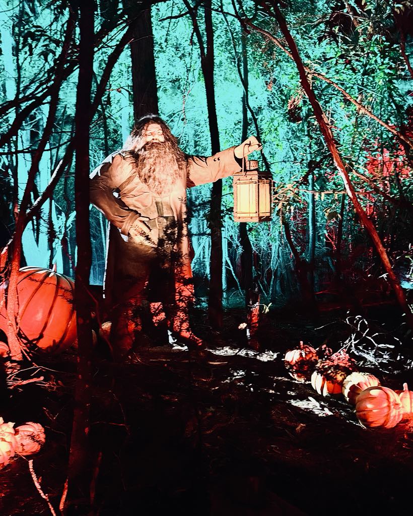 Harry Potter Forbidden Forest Experience Hagrid