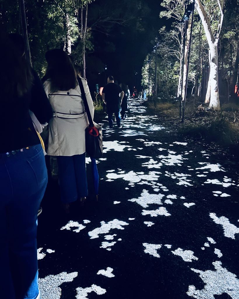 Harry Potter Forbidden Forest Experience Brisbane 
